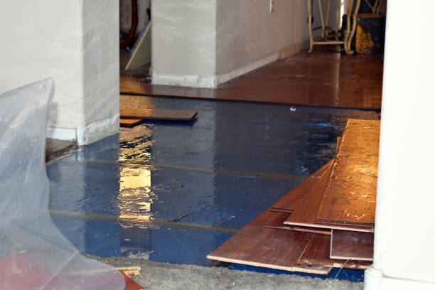 Professional Burst Pipe Cleanup technician working in Trimble, MO